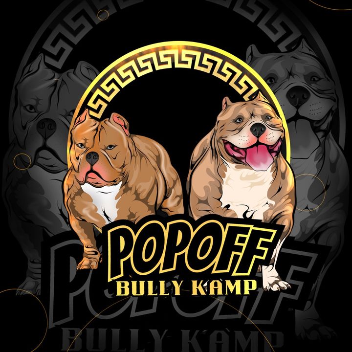 PopOff Bully Kamp 🐶🐾