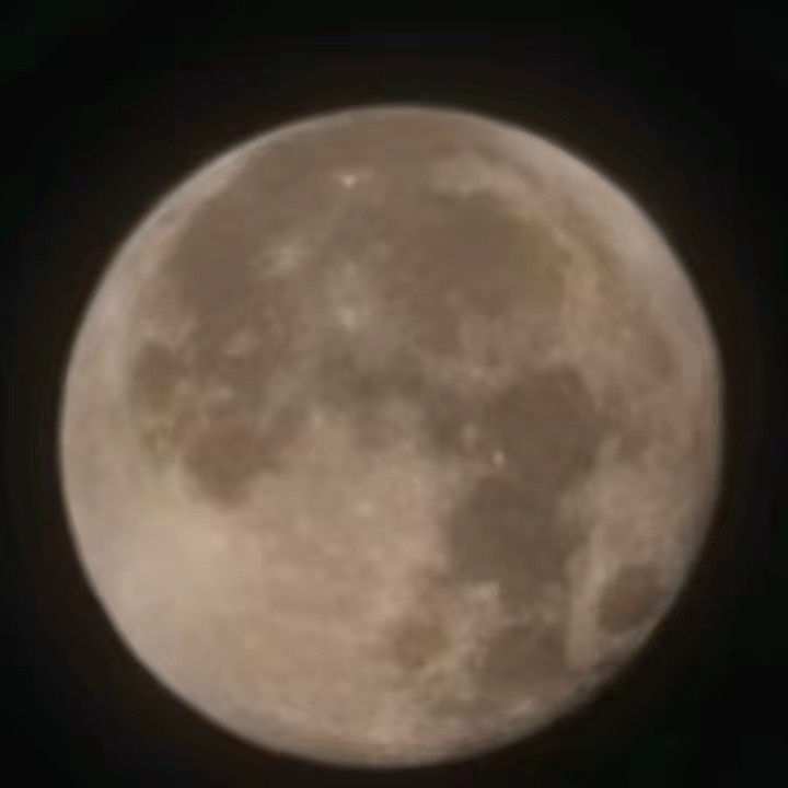 CharleytheSpoilsport