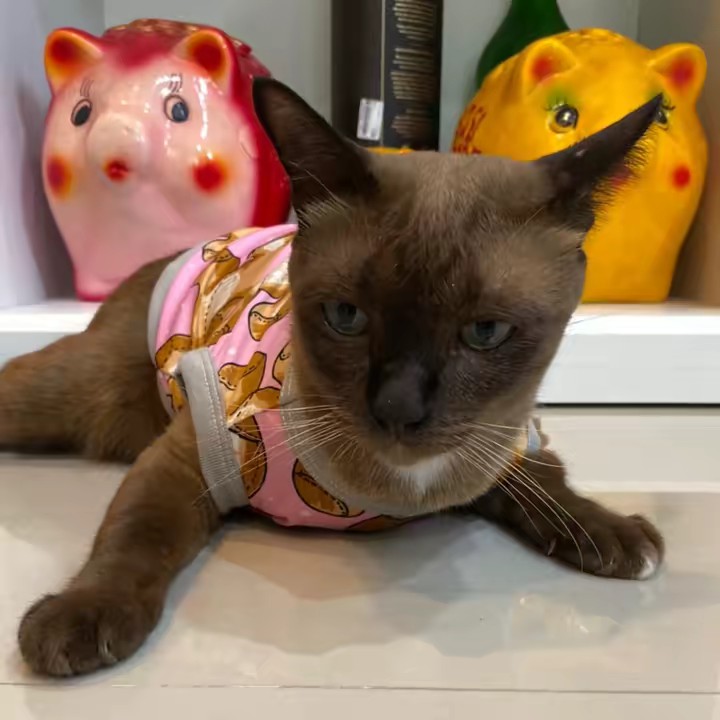 น้องเฮงน้องรวยน่ารัก