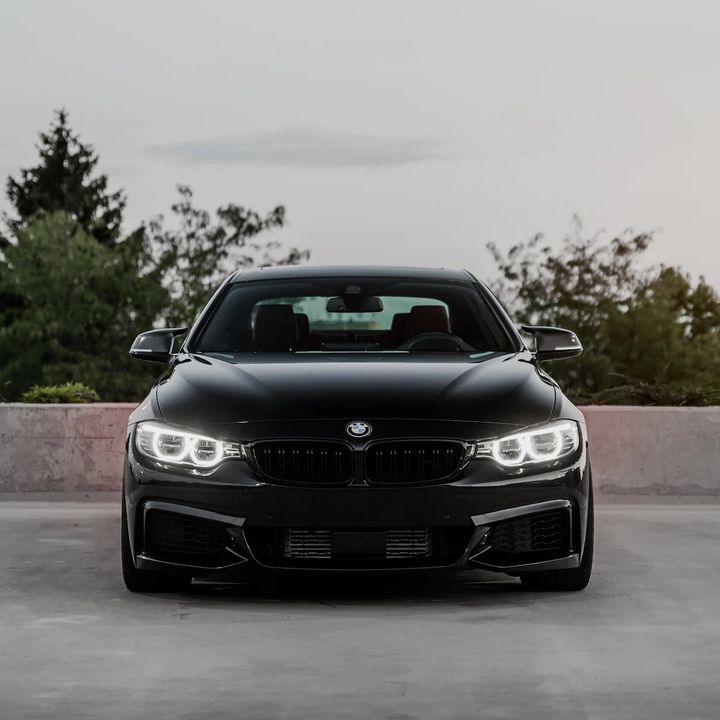 German 🇩🇪 Reaper