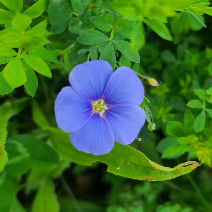 UNPLANTED, Paris 8ème