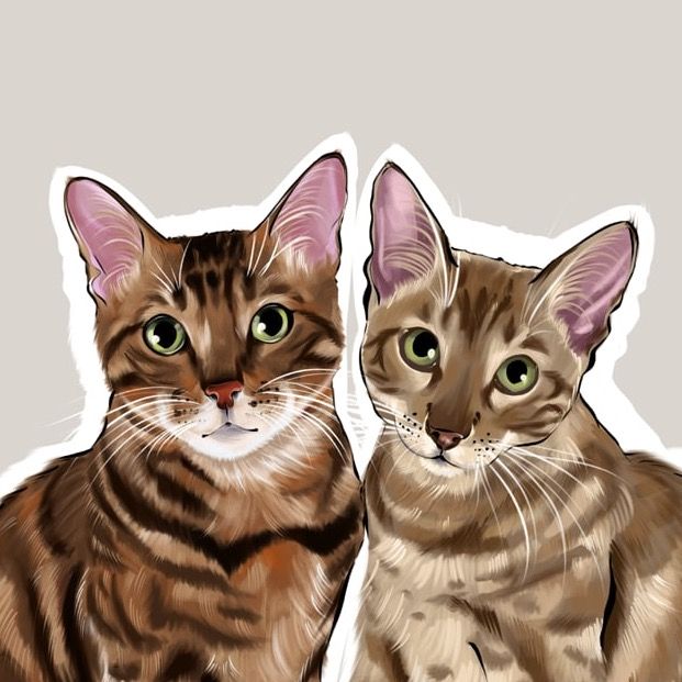 Бенгало-банда Лекс и Фокси