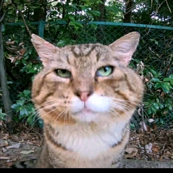 РАДЫ ВАС ВИДЕТЬ ДРУЗЬЯ! ❤