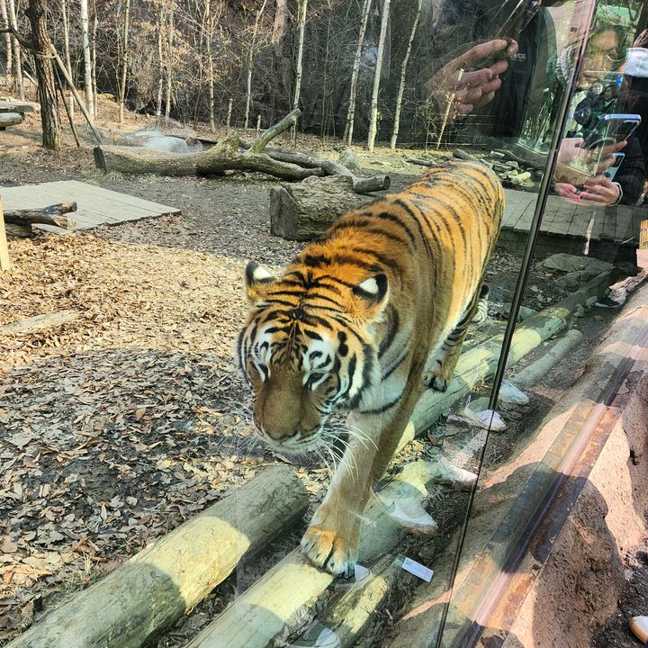 🐣우유빛갈🌟최억배🐣