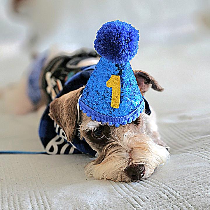 💙🩵Binky🩵💙