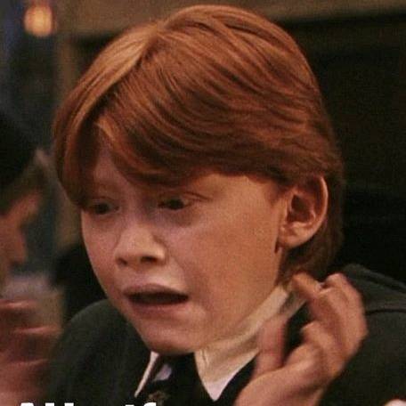 ✨️💛hufflepuff🦡💫