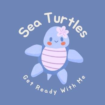 sea turtles 🐢