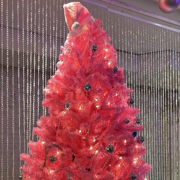 Funny Fruit Lemon Lee