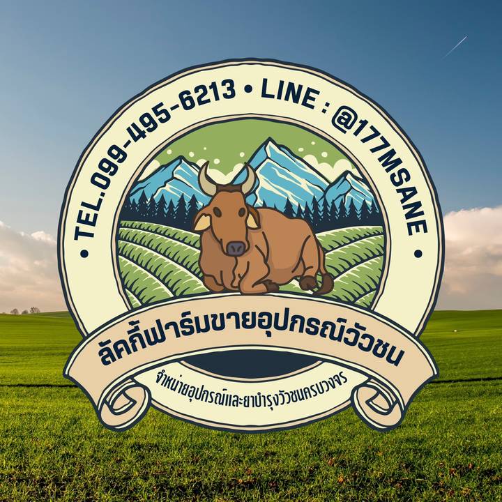 ร้านลัคกี้ฟาร์มอุปกรณ์วัวชน2