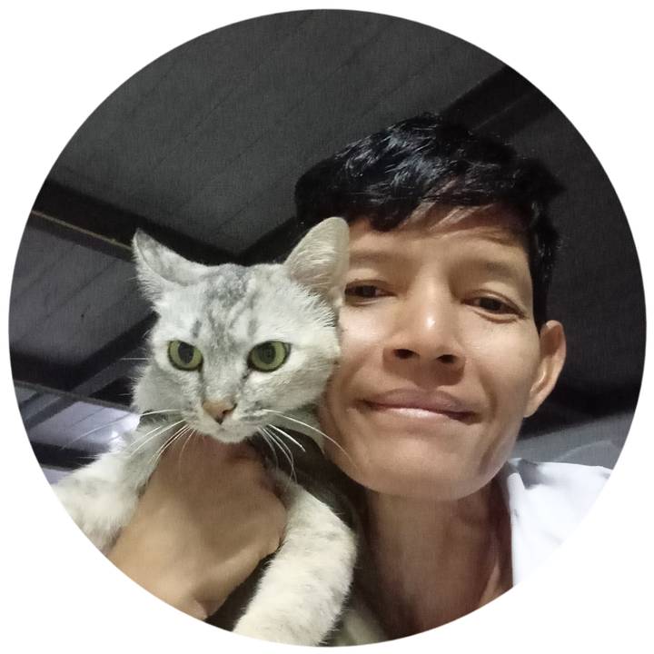 นลินรักแมว