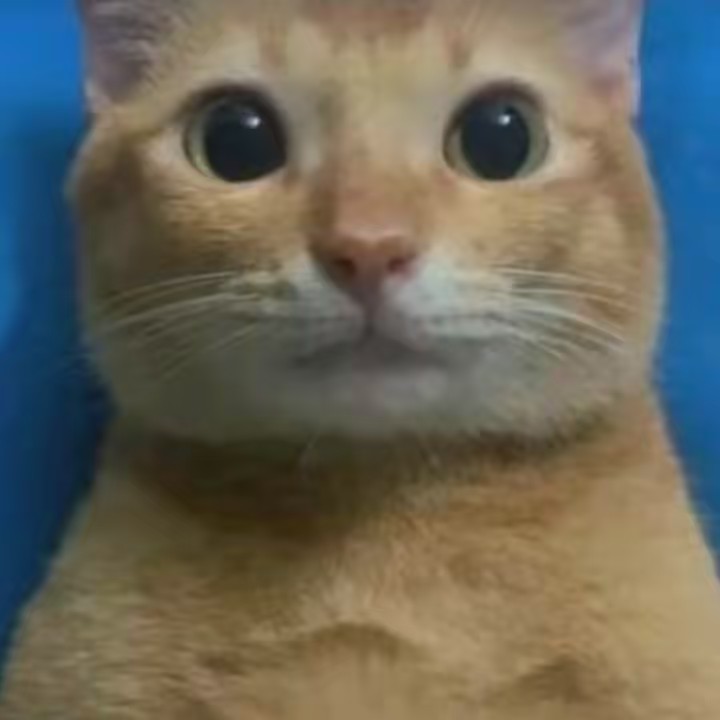 ¡★¡КРИС¡★¡