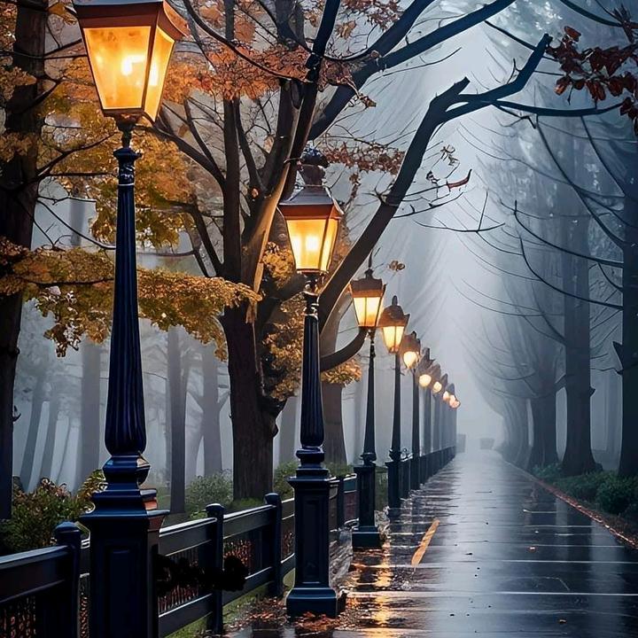 Amhara 1st tiktok 💚💛❤️🕌🕌🕌