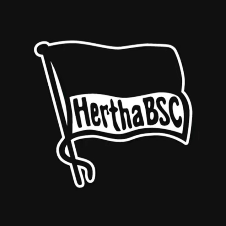 Nur der BSC 💙🤍🇩🇪🦅