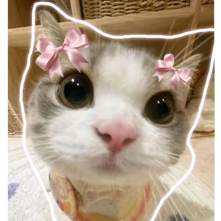 𝐊𝐚 𝐑𝐞𝐯𝐢𝐞𝐰 🎀