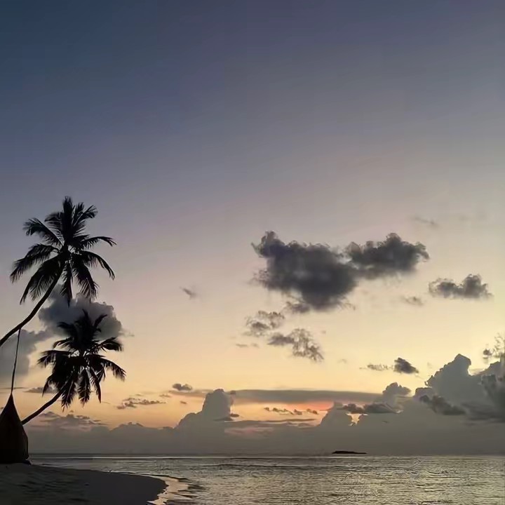 𝐁𝐄𝐑𝐑1𝐍