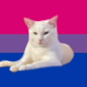 Roz (pads and prong’s version)