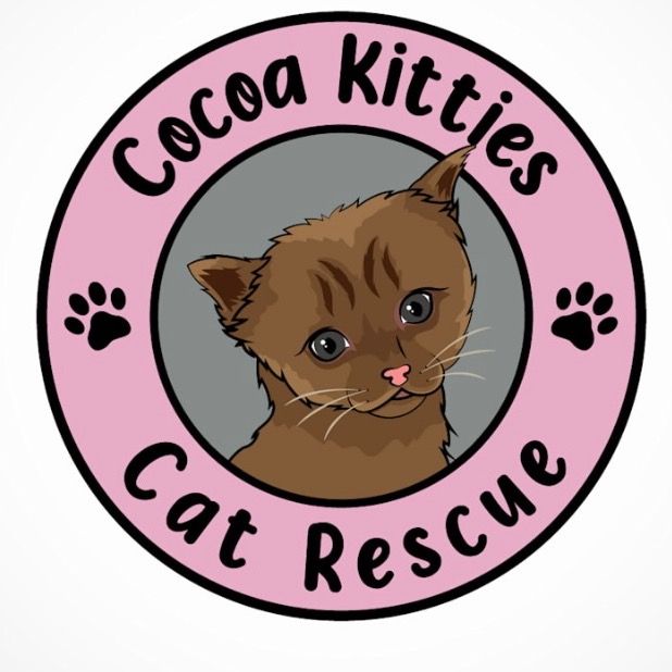Cocoa Kitties