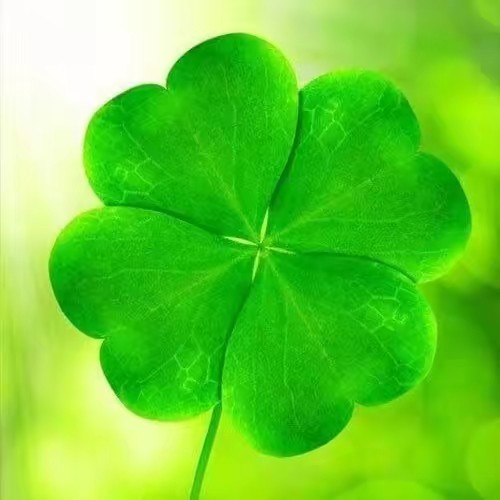 Hương✈️🇻🇳🇰🇷