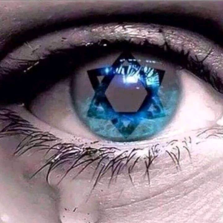 Isabella ma vie= les animaux ❤