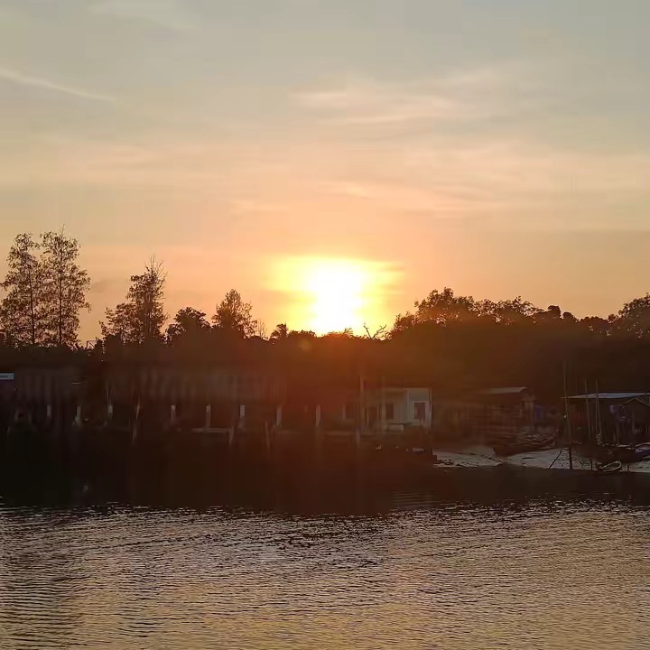 มาลีวิว