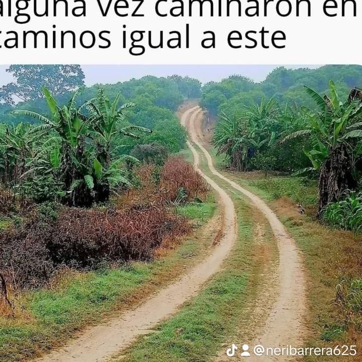 Bibir  la rialidad es lo mejor