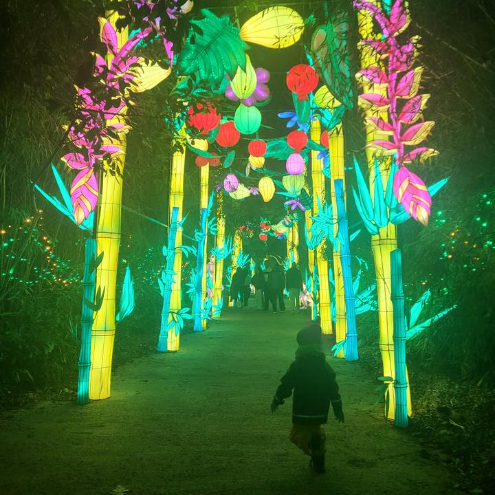 Summer (Adeles version)