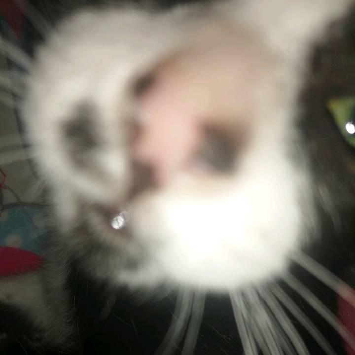 Undesconocido620🔵