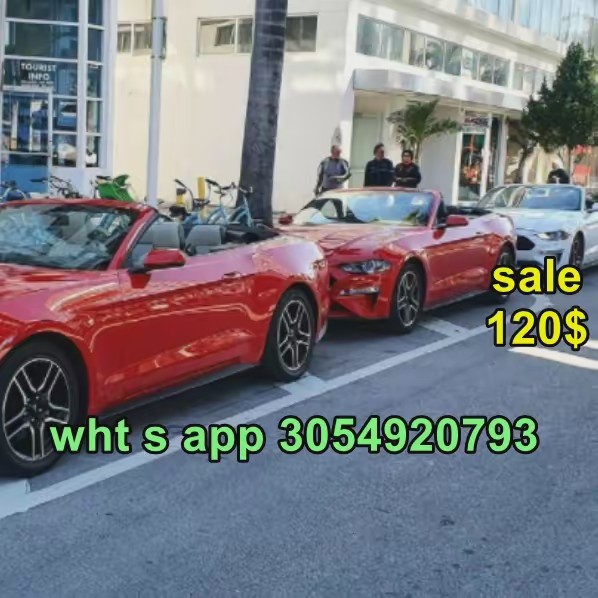 labelleMiami everglades