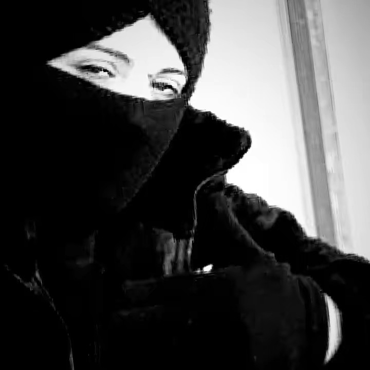 ✨🦁Catalya🦁✨