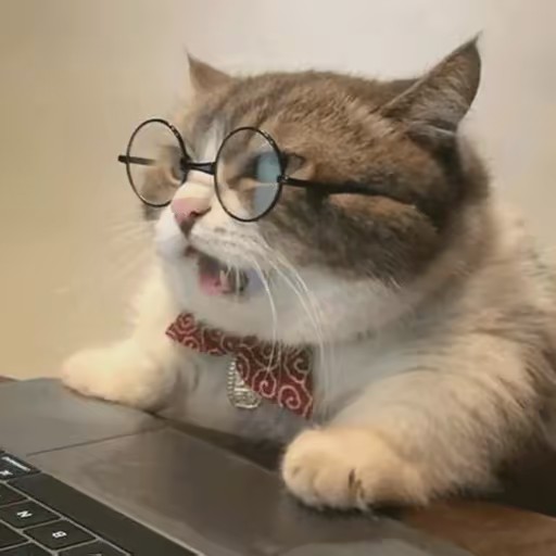 Gato informatico