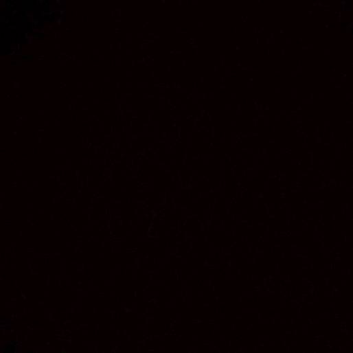 JHONA Lp 🥷🏻🧔🏻‍♂️🤡