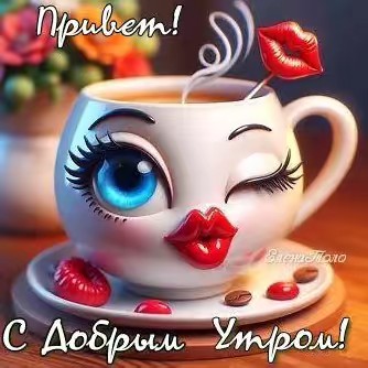 Solnte🌞🫶☀️