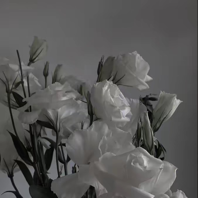 𝑪𝑯𝑨𝑵𝑻𝑨𝑳🤍