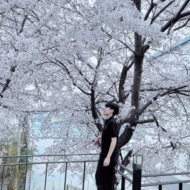 ♑️🅰️♑️ℹ️🐶🐶