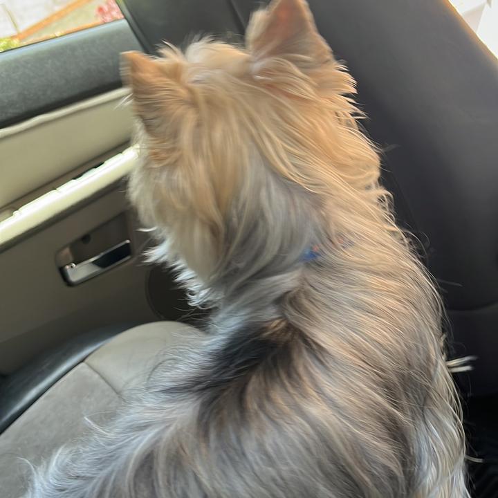 ♬ ♬ 𝓼𝓪𝓻𝓲𝓽𝓪🤍🫶