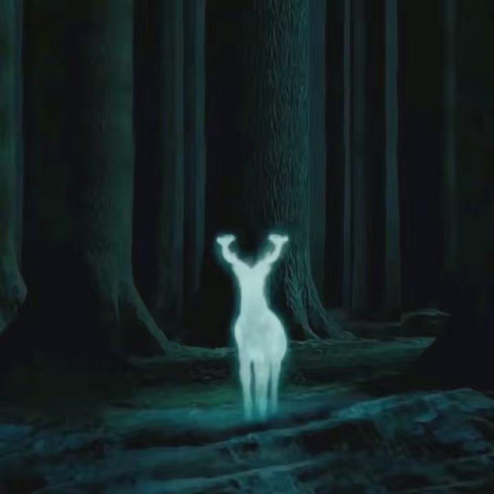 𝐻𝒂𝒓𝒓𝒚 𝒫𝒐𝒕𝒕𝒆𝒓 ☆