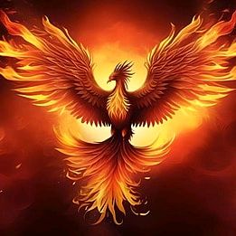 Tấn Đạt Đời Thường🐉