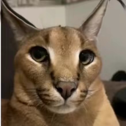 chef adjoint de pomme