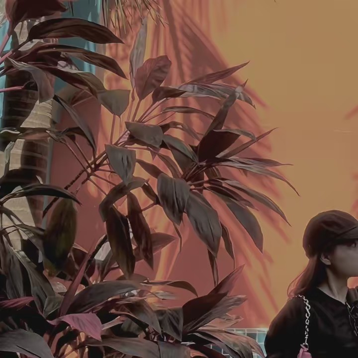 TIỆM TẠP HÓA DỄ THƯƠNG