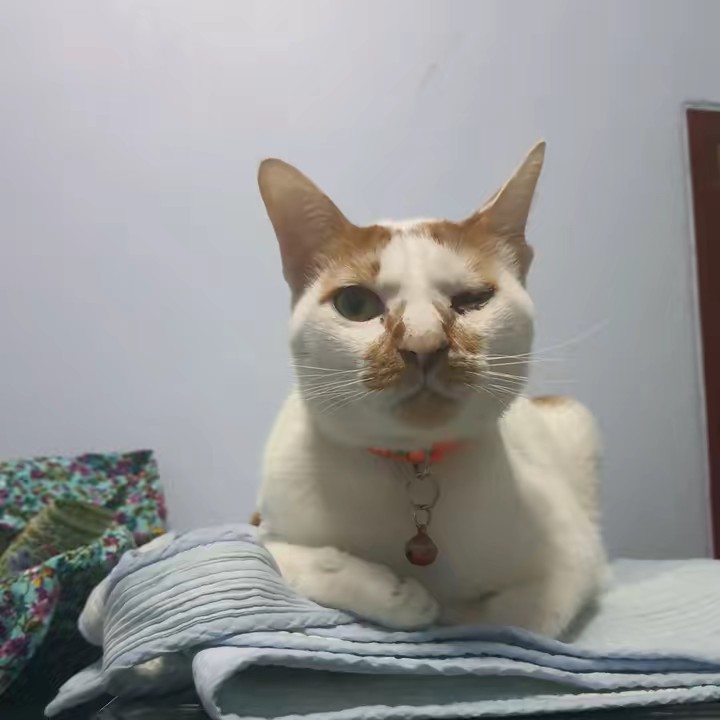 แม่เรียกอาย หลายรอบละ