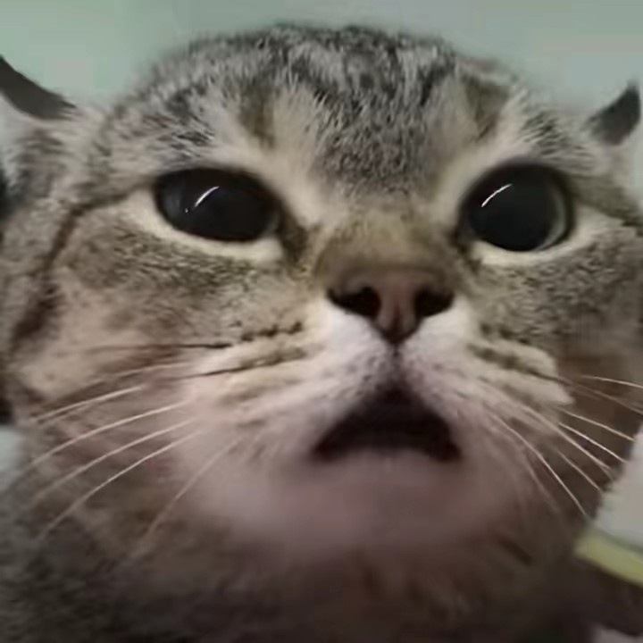 ザムム、私の友達🤓