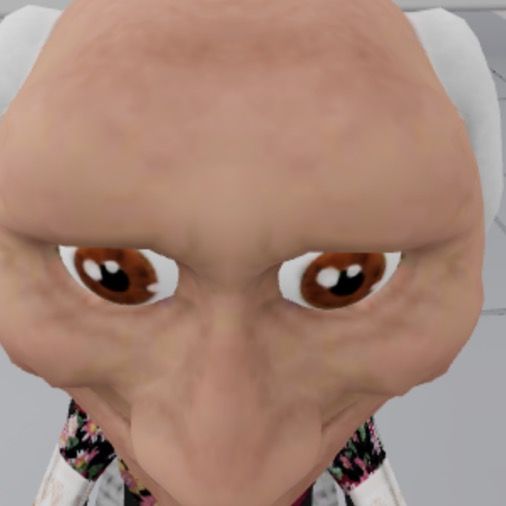 Rat🐀🐀🐀🐀🐀🐀🐀🐀🐀