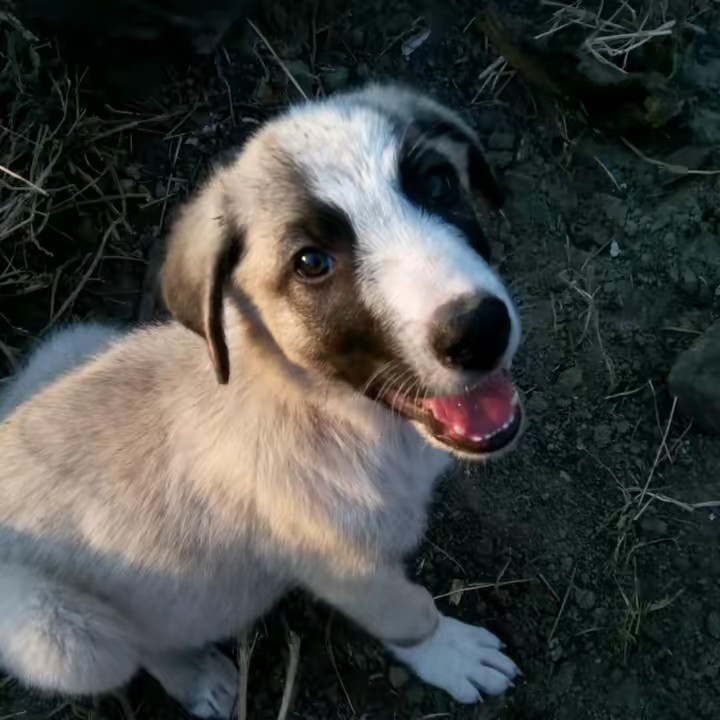 ꧁༺ʙᴀᴅʙᴏʏ༻ツ꧂