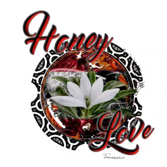 🍯❤honeylove ❤🍯