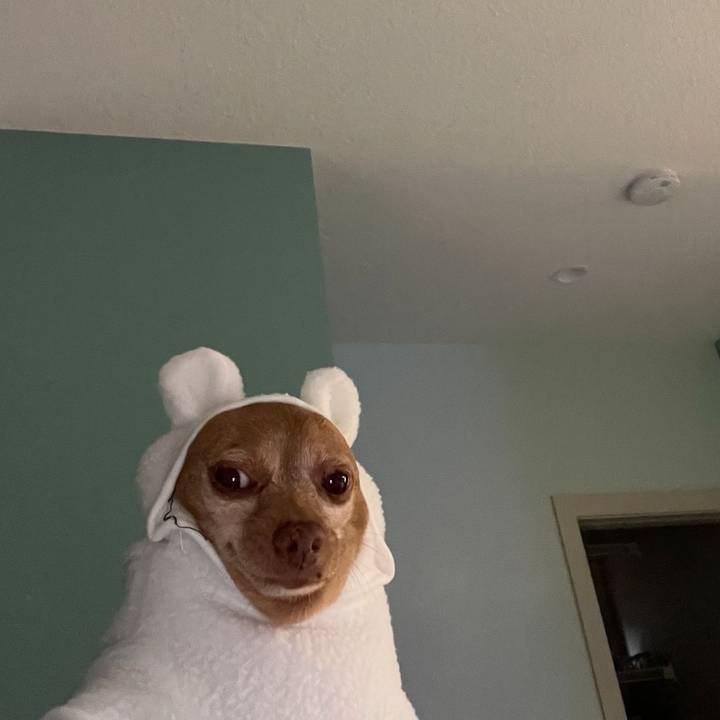 Pimp daddy Gen🧖‍♀️🍷