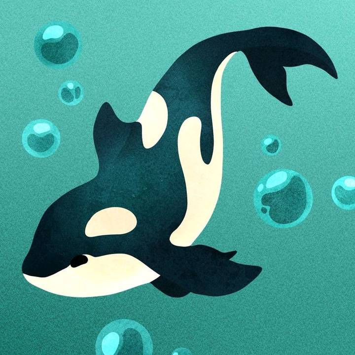 𝄞•♪•♩•♫•♬•{𝙰𝚟𝚊}•♬•♫•♩•♪•𝄞