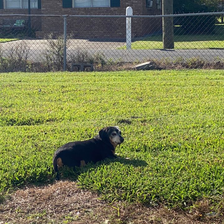 ❤️busterboy❤️