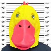 เป็ดโง่ว