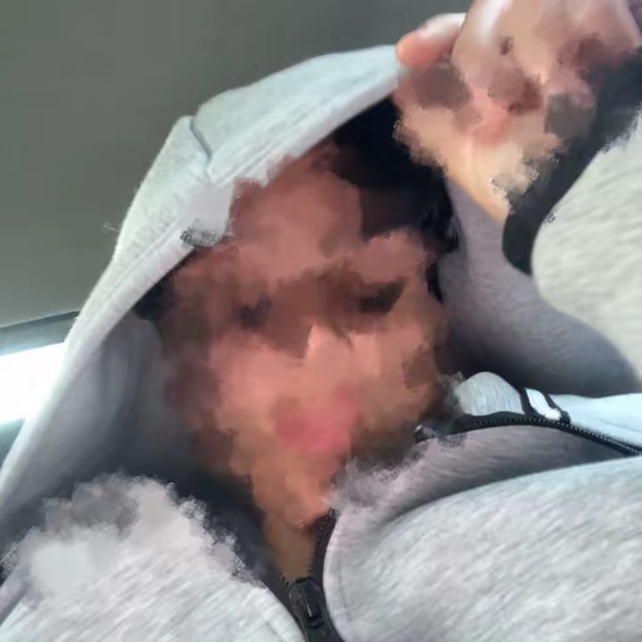 𝐀𝐦𝐢𝐫.🇲🇦🇩🇿