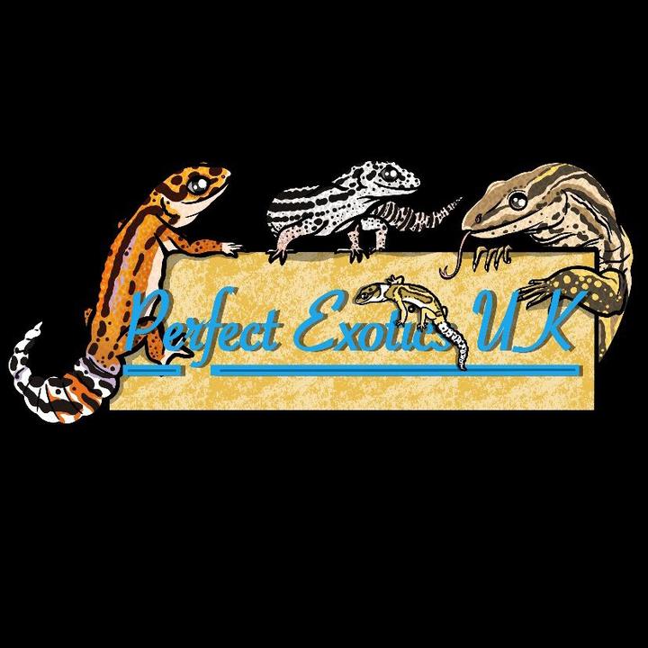 Perfect exotics uk31